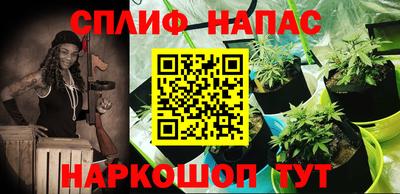 стаф Бугуруслан