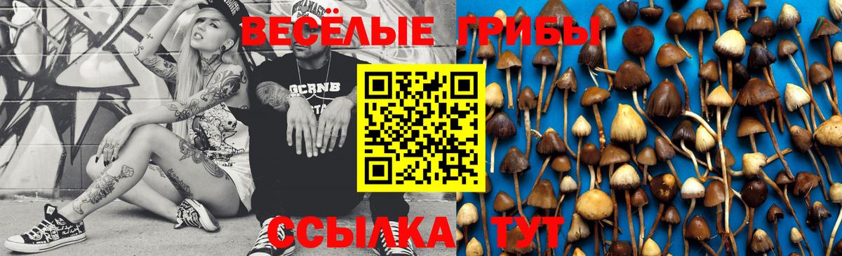 Красноярск  Галлюциногенные грибы Psilocybine cubensis  Вход с VPN 