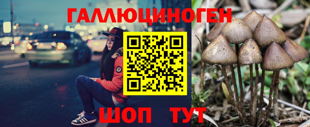 Галлюциногенные грибы GOLDEN TEACHER Красноярск